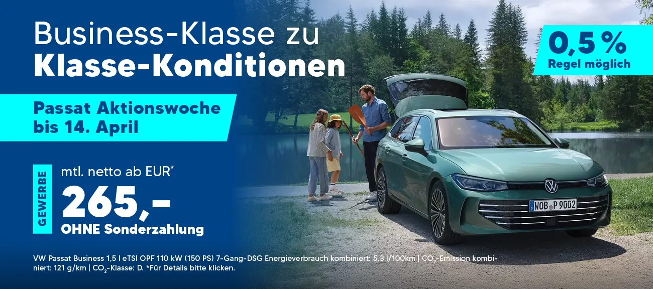 VW Passat Gewerbe Spezi