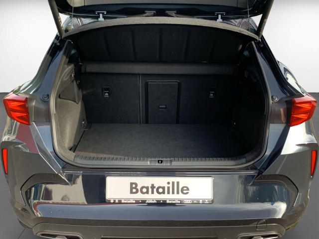 Formentor 2.0 TDI DSG Navi Area View ACC SHZ