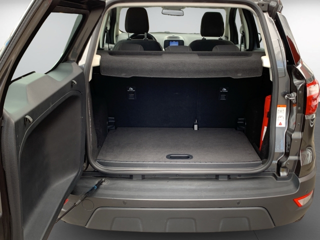 EcoSport 1.0 EcoBoost Trend SHZ LenkradHZG PDC