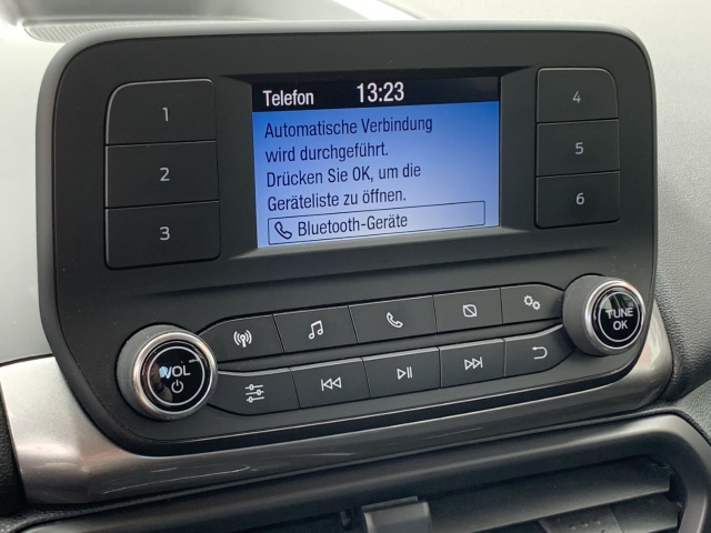 EcoSport 1.0 EcoBoost Trend SHZ LenkradHZG PDC