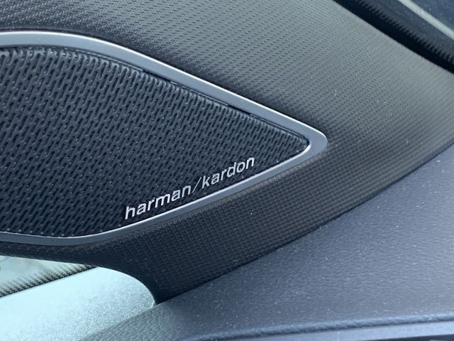Golf R VIII 2.0 TSI 4M Navi Soundsystem IQ.Light