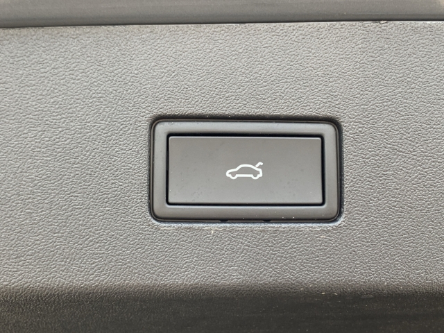 Tayron 2.0 TDI R-Line DSG 7-Sitze AHK Kamera ACC