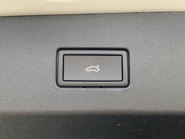 Tayron 2.0 TDI R-Line DSG 7-Sitze AHK Kamera ACC