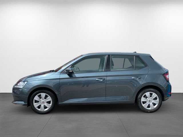 Fabia 1.0 MPI Cool Plus Klima Bluetooth SHZ PDC