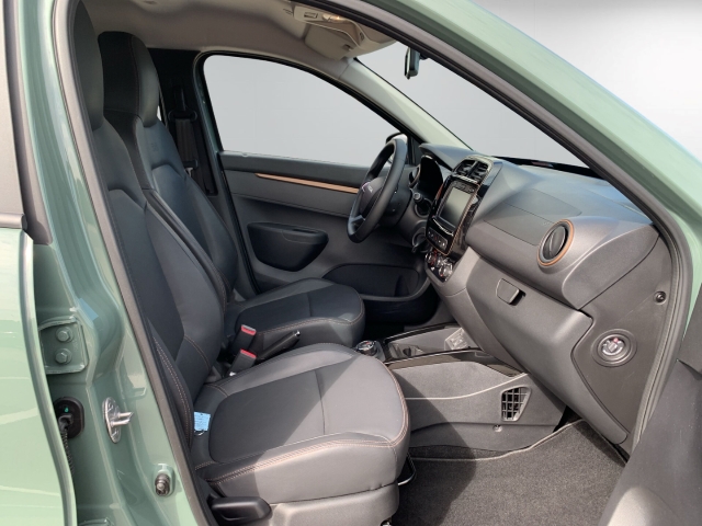 Spring Electric Extreme Navi GRA Rückfahrkam.