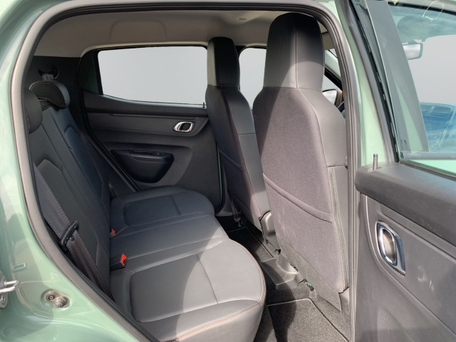 Spring Electric Extreme Navi GRA Rückfahrkam.