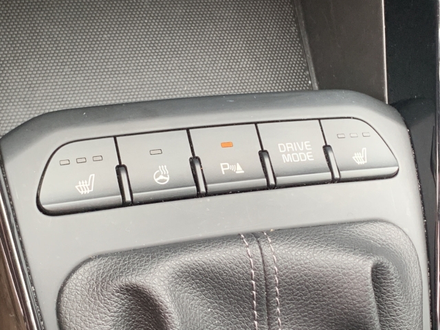 Stonic 1.0 T-GDI Mild-Hybrid Platinum Edition