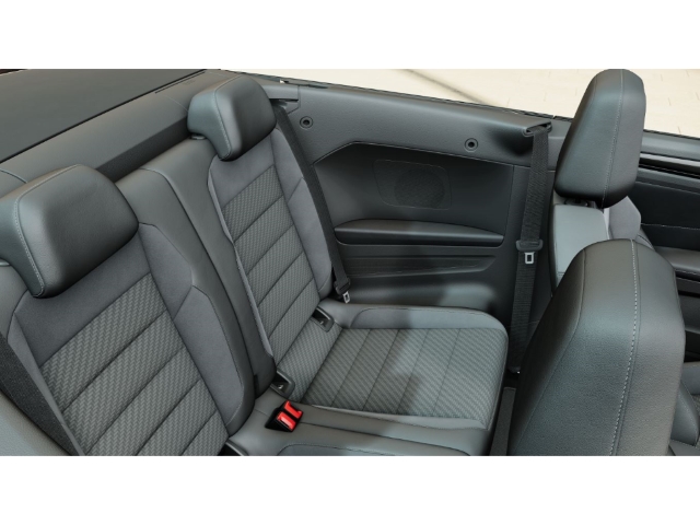 T-Roc Cabriolet R-Line 1.5 TSI DSG AHK Matrix RFK