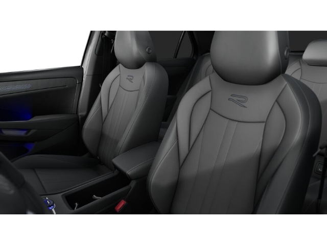 T-Roc R-Line 1.5 DSG Black Style HUD AHK Pano Leder
