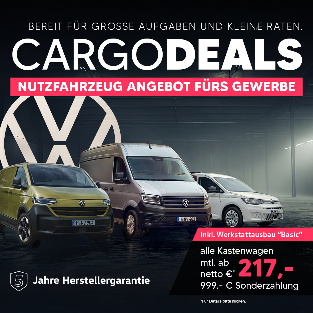 VW Kastenwagen Aktion