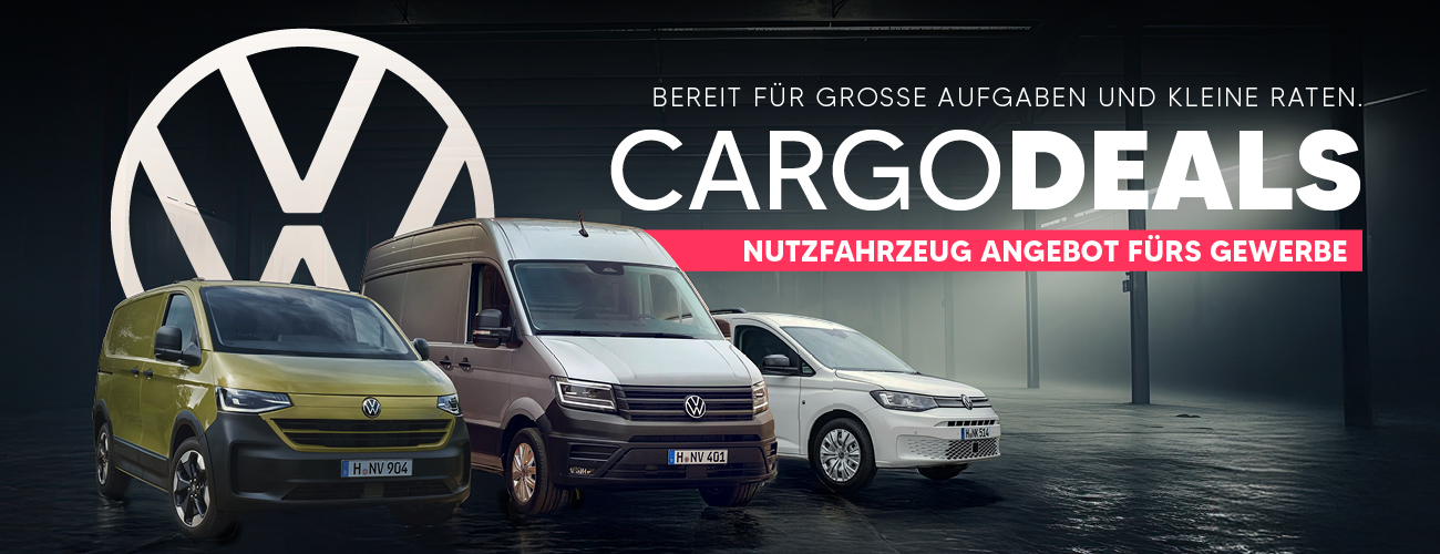 VW Kastenwagen Aktion