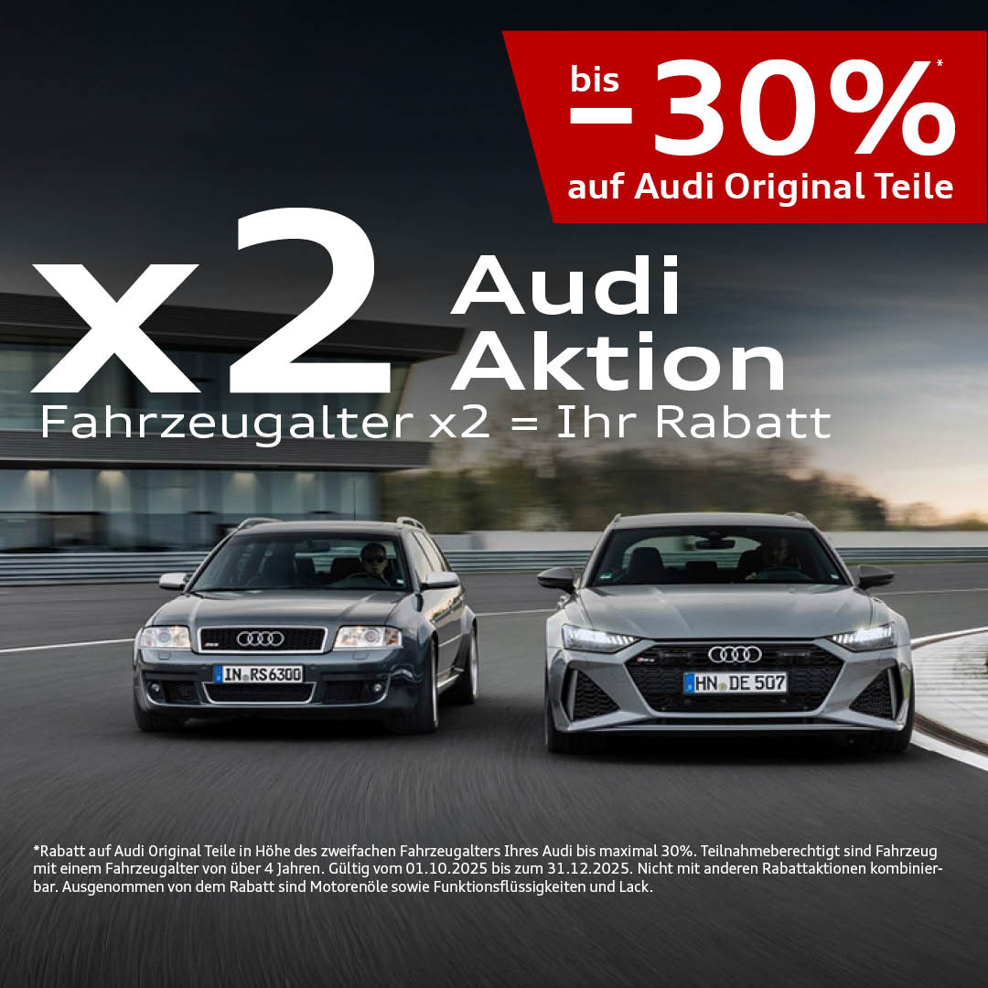 Audi Service x2